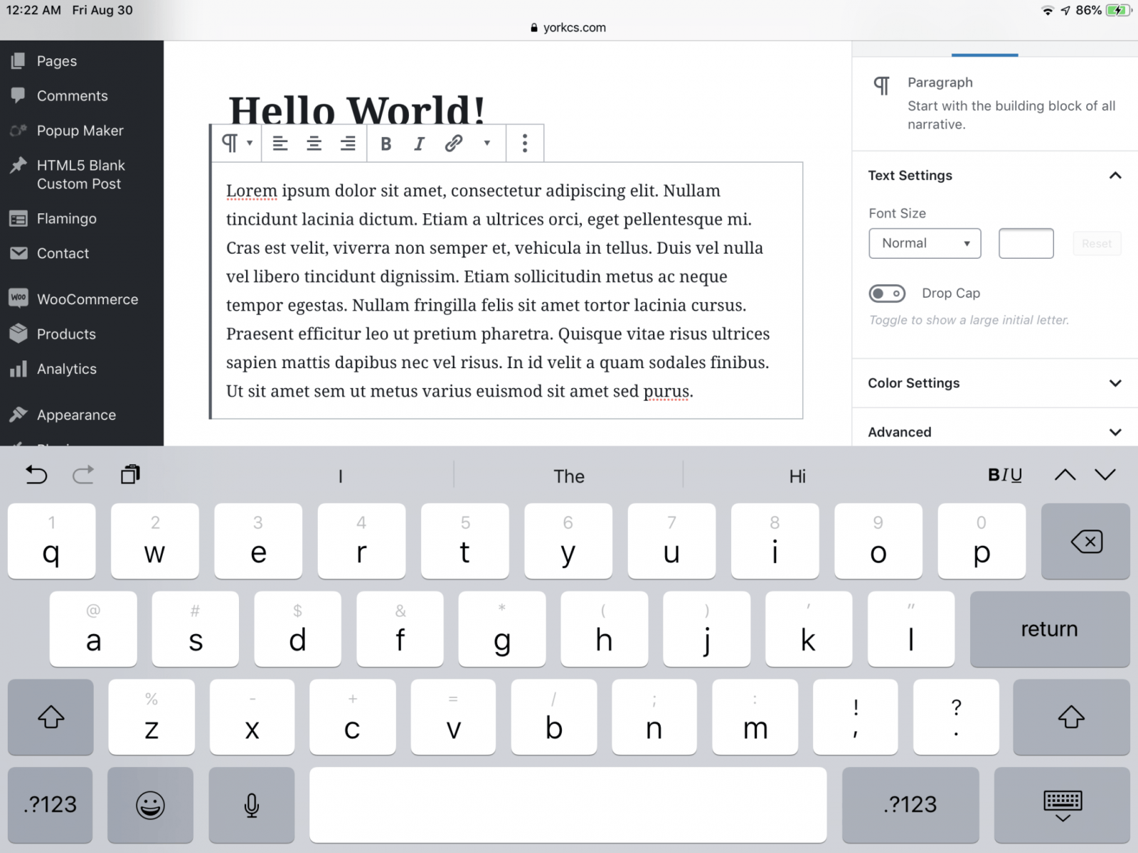 This screenshot shows some sample text inside the default paragraph block.